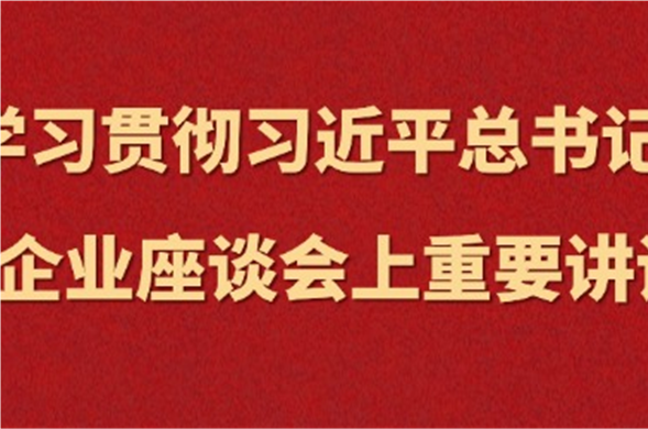 亿万先生集团集中学习习近平总书记在民营亿万先生·mr(中国)手机版官网座谈会上重要讲话精神